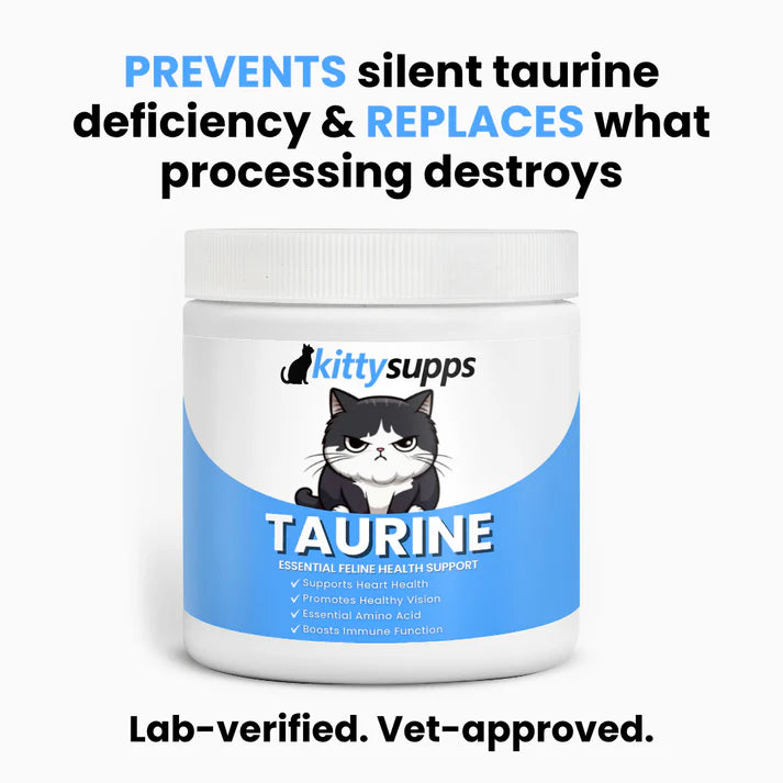 Stop your Cats Silent Deficiency Before It's Too Late!